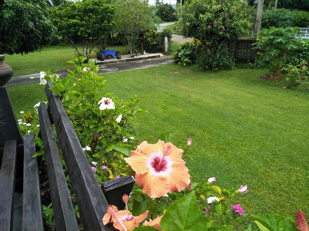Oui Kaew Homestay Phayao Exterior foto